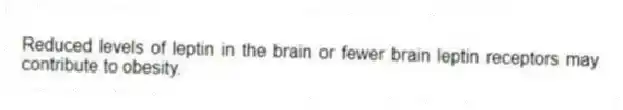 Reduced levels of leptin in the brain or fewer brain leptin receptors may contribute to obesity.