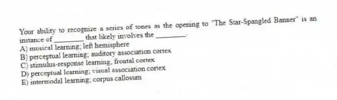 Your ability to recognize a series of tones as the opening to "The Star-Spangled Banner" is an instance of ________ that likely involves the ________.
A) musical learning; left hemisphere
B) perceptual learning; auditory association cortex
C) stimulus-response learning; frontal cortex
D) perceptual learning; visual association cortex
E) intermodal learning; corpus callosum