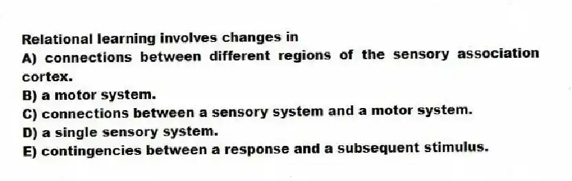Relational learning involves changes in
A) connections between different regions of the sensory association cortex.
B) a motor system.
C) connections between a sensory system and a motor system.
D) a single sensory system.
E) contingencies between a response and a subsequent stimulus.