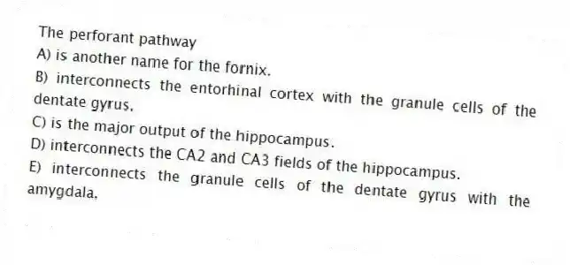The perforant pathway
A) is another name for the fornix.
B) interconnects the entorhinal cortex with the granule cells of the dentate gyrus.
C) is the major output of the hippocampus.
D) interconnects the CA2 and CA3 fields of the hippocampus.
E) interconnects the granule cells of the dentate gyrus with the amygdala.