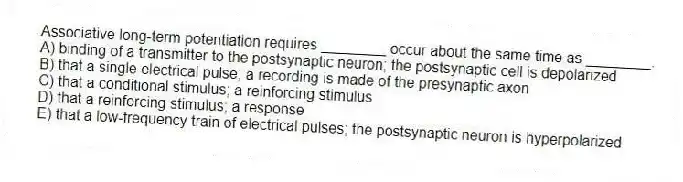 Associative long-term potentiation requires ________ occur about the same time as ________.
A) binding of a transmitter to the postsynaptic neuron; the postsynaptic cell is depolarized
B) that a single electrical pulse; a recording is made of the presynaptic axon
C) that a conditional stimulus; a reinforcing stimulus
D) that a reinforcing stimulus; a response
E) that a low-frequency train of electrical pulses; the postsynaptic neuron is hyperpolarized