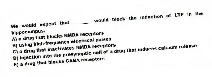 We would expect that ________ would block the induction of LTP in the hippocampus.
A) a drug that blocks NMDA receptors
B) using high-frequency electrical pulses
C) a drug that inactivates NMDA receptors
D) injection into the presynaptic cell of a drug that induces calcium release
E) a drug that blocks GABA receptors