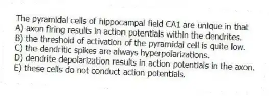 The pyramidal cells of hippocampal field CA1 are unique in that
A) axon firing results in action potentials within the dendrites.
B) the threshold of activation of the pyramidal cell is quite low.
C) the dendritic spikes are always hyperpolarizations.
D) dendrite depolarization results in action potentials in the axon.
E) these cells do not conduct action potentials.