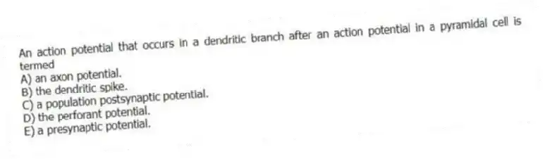 An action potential that occurs in a dendritic branch after an action potential in a pyramidal cell is termed
A) an axon potential.
B) the dendritic spike.
C) a population postsynaptic potential.
D) the perforant potential.
E) a presynaptic potential.