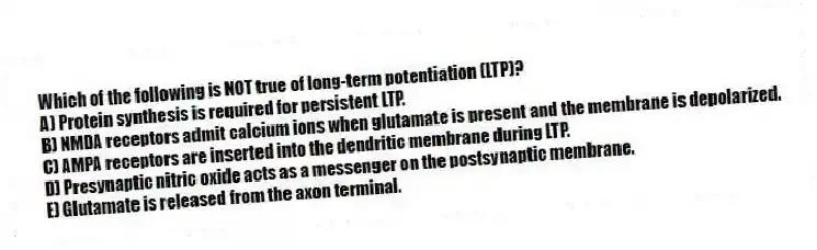 Which of the following is NOT true of long-term potentiation (LTP)?
A) Protein synthesis is required for persistent LTP.
B) NMDA receptors admit calcium ions when glutamate is present and the membrane is depolarized.
C) AMPA receptors are inserted into the dendritic membrane during LTP.
D) Presynaptic nitric oxide acts as a messenger on the postsynaptic membrane.
E) Glutamate is released from the axon terminal.