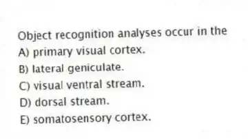 Object recognition analyses occur in the
A) primary visual cortex.
B) lateral geniculate.
C) visual ventral stream.
D) dorsal stream.
E) somatosensory cortex.