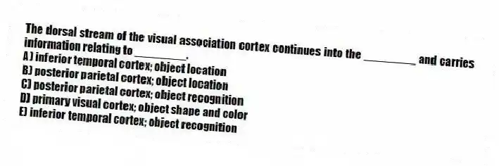 The dorsal stream of the visual association cortex continues into the ________ and carries information relating to ________.
A) inferior temporal cortex; object location
B) posterior parietal cortex; object location
C) posterior parietal cortex; object recognition
D) primary visual cortex; object shape and color
E) inferior temporal cortex; object recognition