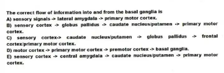 The correct flow of information into and from the basal ganglia is
A) sensory signals -> lateral amygdala -> primary motor cortex.
B) sensory cortex -> globus pallidus -> caudate nucleus/putamen -> primary motor cortex.
C) sensory cortex-> caudate nucleus/putamen -> globus pallidus -> frontal cortex/primary motor cortex.
D) motor cortex -> primary motor cortex -> premotor cortex -> basal ganglia.
E) sensory cortex -> central amygdala -> caudate nucleus/putamen -> primary motor cortex.
