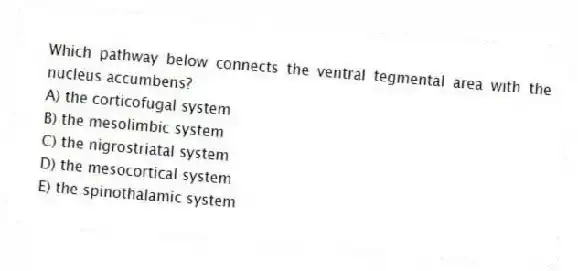 Which pathway below connects the ventral tegmental area with the nucleus accumbens?
A) the corticofugal system
B) the mesolimbic system
C) the nigrostriatal system
D) the mesocortical system
E) the spinothalamic system