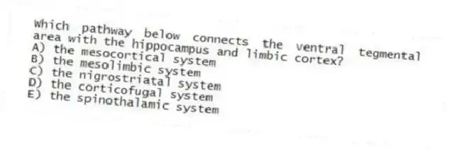 Which pathway below connects the ventral tegmental area with the hippocampus and limbic cortex?
A) the mesocortical system
B) the mesolimbic system
C) the nigrostriatal system
D) the corticofugal system
E) the spinothalamic system