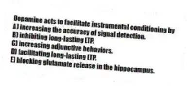 Dopamine acts to facilitate instrumental conditioning by
A) increasing the accuracy of signal detection.
B) inhibiting long-lasting LTP.
C) increasing adjunctive behaviors.
D) facilitating long-lasting LTP.
E) blocking glutamate release in the hippocampus.