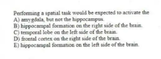 Performing a spatial task would be expected to activate the
A) amygdala, but not the hippocampus.
B) hippocampal formation on the right side of the brain.
C) temporal lobe on the left side of the brain.
D) frontal cortex on the right side of the brain.
E) hippocampal formation on the left side of the brain.