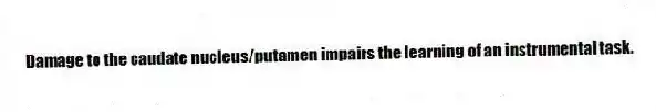 Damage to the caudate nucleus/putamen impairs the learning of an instrumental task.