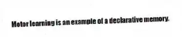 Motor learning is an example of a declarative memory.