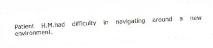 Patient H.M.had difficulty in navigating around a new environment.