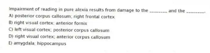 Impairment of reading in pure alexia results from damage to the ________ and the ________.
A) posterior corpus callosum; right frontal cortex
B) right visual cortex; anterior fornix
C) left visual cortex; posterior corpus callosum
D) right visual cortex; anterior corpus callosum
E) amygdala; hippocampus