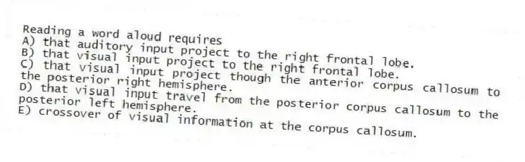 Reading a word aloud requires
A) that auditory input project to the right frontal lobe.
B) that visual input project to the right frontal lobe.
C) that visual input project though the anterior corpus callosum to the posterior right hemisphere.
D) that visual input travel from the posterior corpus callosum to the posterior left hemisphere.
E) crossover of visual information at the corpus callosum.
