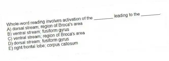 Whole-word reading involves activation of the ________ leading to the ________.
A) dorsal stream; region of Broca's area
B) ventral stream; fusiform gyrus
C) ventral stream; region of Broca's area
D) dorsal stream; fusiform gyrus
E) right frontal lobe; corpus callosum
