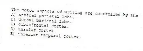 The motor aspects of writing are controlled by the
A) ventral parietal lobe.
B) dorsal parietal lobe.
C) orbiofrontal cortex.
D) insular cortex.
E) inferior temporal cortex.