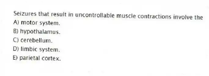 Seizures that result in uncontrollable muscle contractions involve the
A) motor system.
B) hypothalamus.
C) cerebellum.
D) limbic system.
E) parietal cortex.