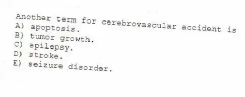 Another term for cerebrovascular accident is
A) apoptosis.
B) tumor growth.
C) epilepsy.
D) stroke.
E) seizure disorder.