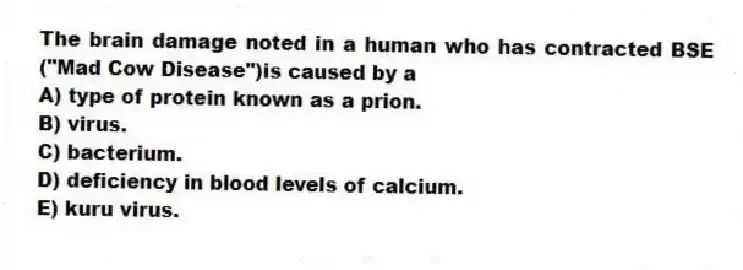 The brain damage noted in a human who has contracted BSE ("Mad Cow Disease")is caused by a
A) type of protein known as a prion.
B) virus.
C) bacterium.
D) deficiency in blood levels of calcium.
E) kuru virus.