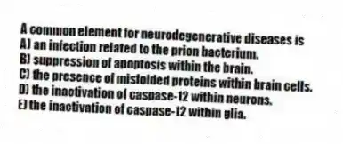 A common element for neurodegenerative diseases is
A) an infection related to the prion bacterium.
B) suppression of apoptosis within the brain.
C) the presence of misfolded proteins within brain cells.
D) the inactivation of caspase-12 within neurons.
E) the inactivation of caspase-12 within glia.