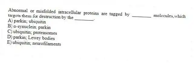 Abnormal or misfolded intracellular proteins are tagged by ________ molecules,which targets them for destruction by the ________.
A) parkin; ubiquitin
B) α-synuclein; parkin
C) ubiquitin; proteasomes
D) parkin; Lewey bodies
E) ubiquitin; neurofilaments