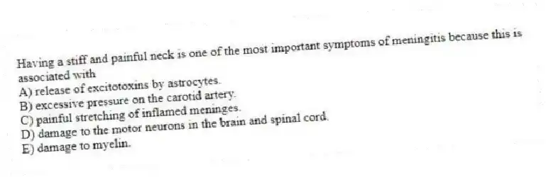 Having a stiff and painful neck is one of the most important symptoms of meningitis because this is associated with
A) release of excitotoxins by astrocytes.
B) excessive pressure on the carotid artery.
C) painful stretching of inflamed meninges.
D) damage to the motor neurons in the brain and spinal cord.
E) damage to myelin.