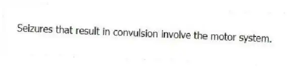 Seizures that result in convulsion involve the motor system.