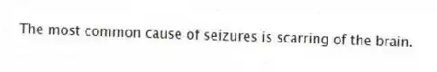 The most common cause of seizures is scarring of the brain.