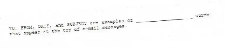 TO, FROM, DATE, and SUBJECT are examples of ____________________ words that appear at the top of e-mail messages.