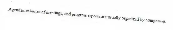 Agendas, minutes of meetings, and progress reports are usually organized by component.