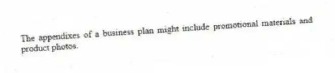 The appendixes of a business plan might include promotional materials and product photos.