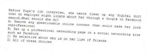 Before Puya's job interview, she wants clean up any digital dirt that an employer might locate about her through a Google or Facebook search.What should she do?
A) Remove any questionable online content that would make her look unprofessional
B) Set up a professional networking page on a social networking site such as Facebook
C) Be selective about who is on her list of friends
D) All of these choices