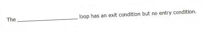 The ____________________ loop has an exit condition but no entry condition.