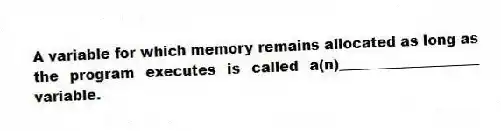 A variable for which memory remains allocated as long as the program executes is called a(n)____________________ variable.