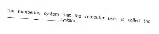 The numbering system that the computer uses is called the ____________________ system.