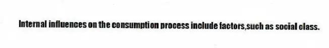 Internal influences on the consumption process include factors,such as social class.