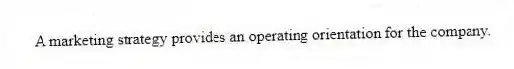 A marketing strategy provides an operating orientation for the company.