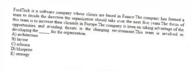 FordTech is a software company whose clients are based in France.The company has formed a team to decide the direction the organization should take over the next five years.The focus of this team is to increase their clientele in Europe.The company is keen on taking advantage of the opportunities and avoiding threats in the changing environment.This team is involved in developing the _____ for the organization.
A) architecture
B) layout
C) schema
D) blueprint
E) strategy