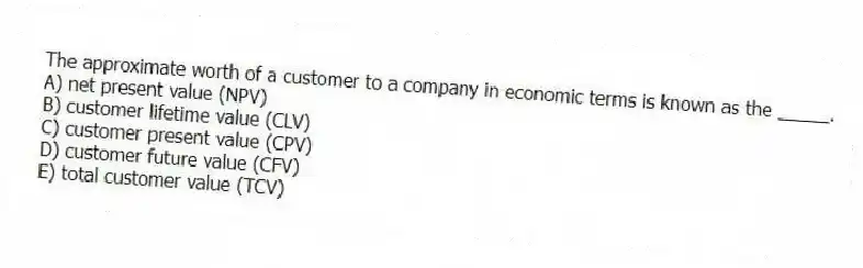 The approximate worth of a customer to a company in economic terms is known as the _____.
A) net present value (NPV)
B) customer lifetime value (CLV)
C) customer present value (CPV)
D) customer future value (CFV)
E) total customer value (TCV)