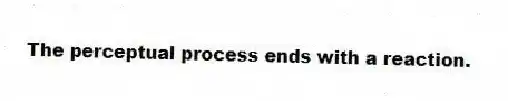 The perceptual process ends with a reaction.