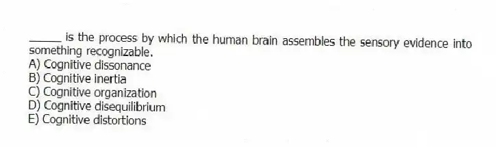 _____ is the process by which the human brain assembles the sensory evidence into something recognizable.
A) Cognitive dissonance
B) Cognitive inertia
C) Cognitive organization
D) Cognitive disequilibrium
E) Cognitive distortions