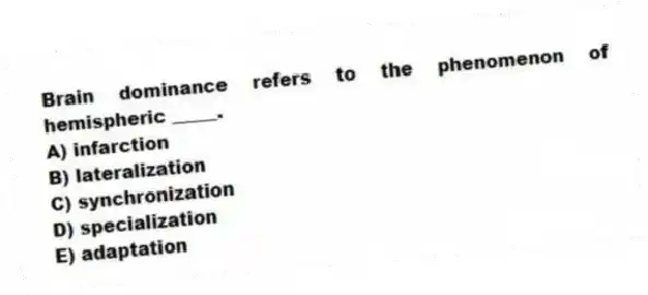 Brain dominance refers to the phenomenon of hemispheric _____.
A) infarction
B) lateralization
C) synchronization
D) specialization
E) adaptation
