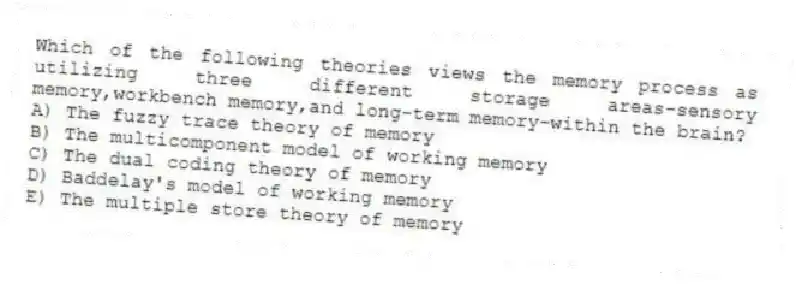 Which of the following theories views the memory process as utilizing three different storage areas-sensory memory,workbench memory,and long-term memory-within the brain?
A) The fuzzy trace theory of memory
B) The multicomponent model of working memory
C) The dual coding theory of memory
D) Baddelay's model of working memory
E) The multiple store theory of memory