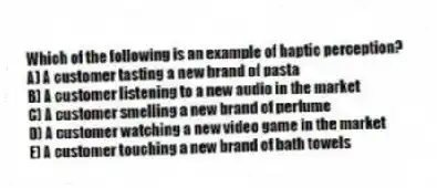 Which of the following is an example of haptic perception?
A) A customer tasting a new brand of pasta
B) A customer listening to a new audio in the market
C) A customer smelling a new brand of perfume
D) A customer watching a new video game in the market
E) A customer touching a new brand of bath towels