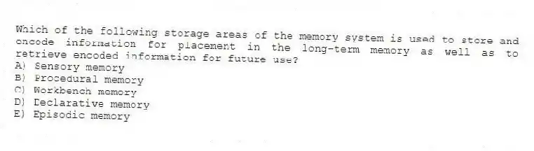 Which of the following storage areas of the memory system is used to store and encode information for placement in the long-term memory as well as to retrieve encoded information for future use?
A) Sensory memory
B) Procedural memory
C) Workbench memory
D) Declarative memory
E) Episodic memory