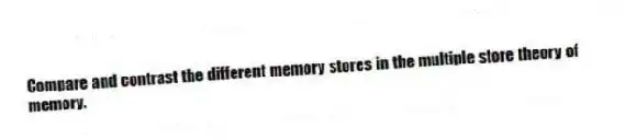 Compare and contrast the different memory stores in the multiple store theory of memory.