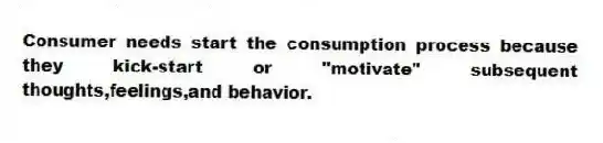 Consumer needs start the consumption process because they kick-start or "motivate" subsequent thoughts,feelings,and behavior.